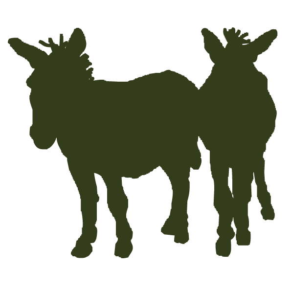 Donkey trekking holidays