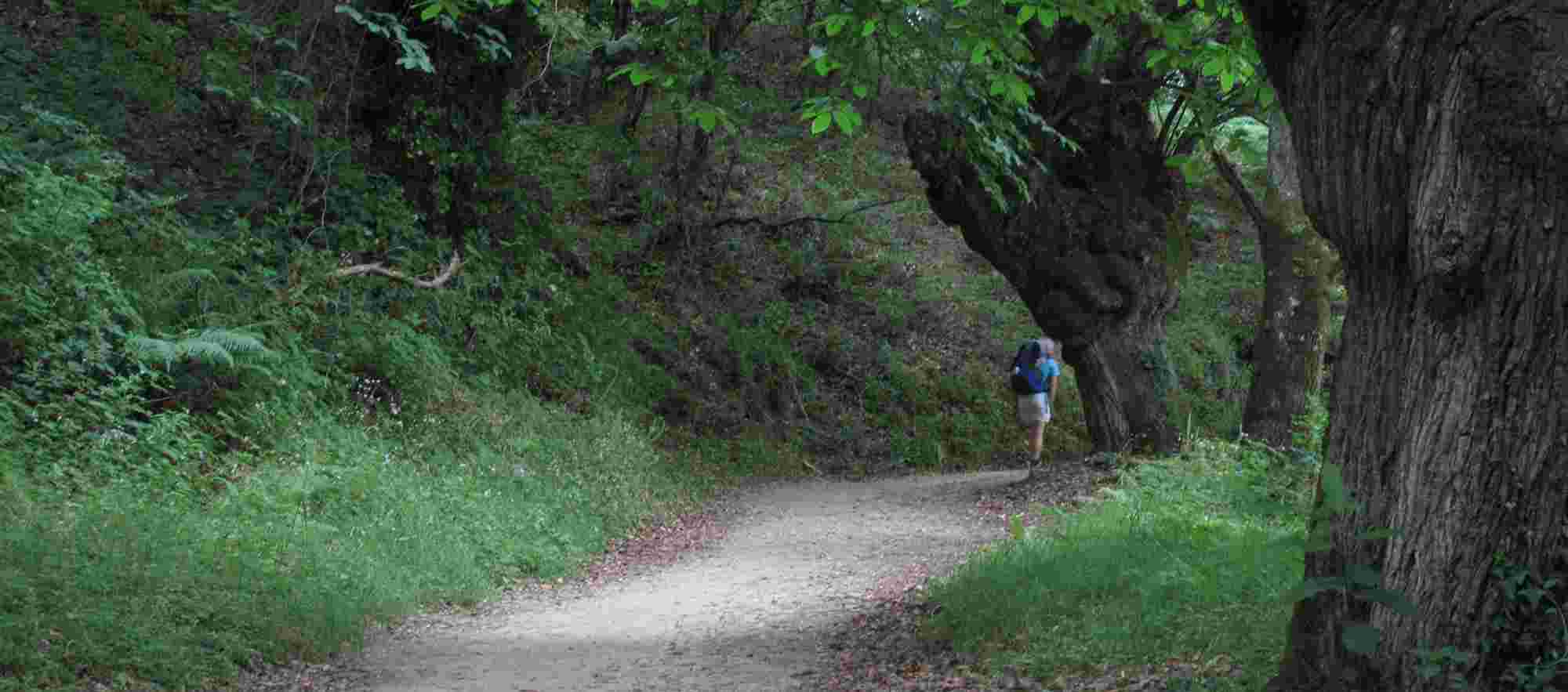 Walker on the Camino de Santiago