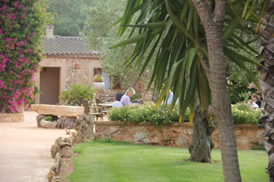 hotel in mallorca