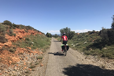 via verde ojos negros