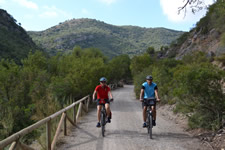 cyclists on the rail trail