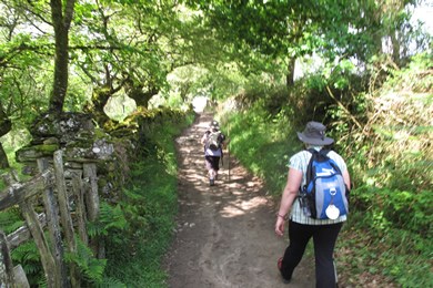 walkers on the camino