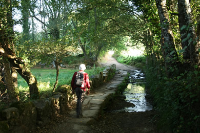 walker in the camino