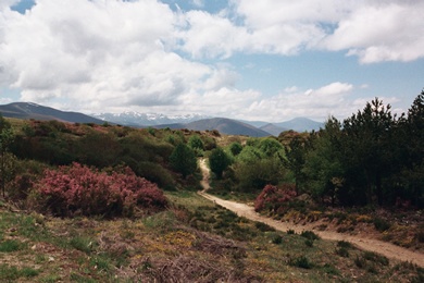 lovely landscape and the camino de santiago