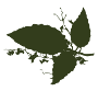 Away from the Crowds logo
