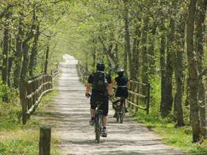 Two cyclists along a lovely cycle lane in Sierra de la Demanda
